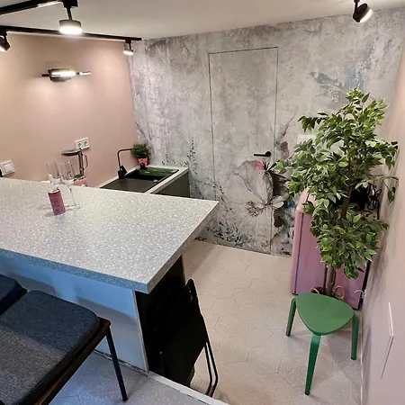 Pink42 Ministudio2 *